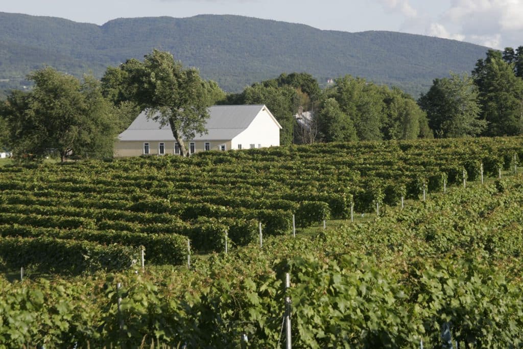 Vignoble Domaine Bresee