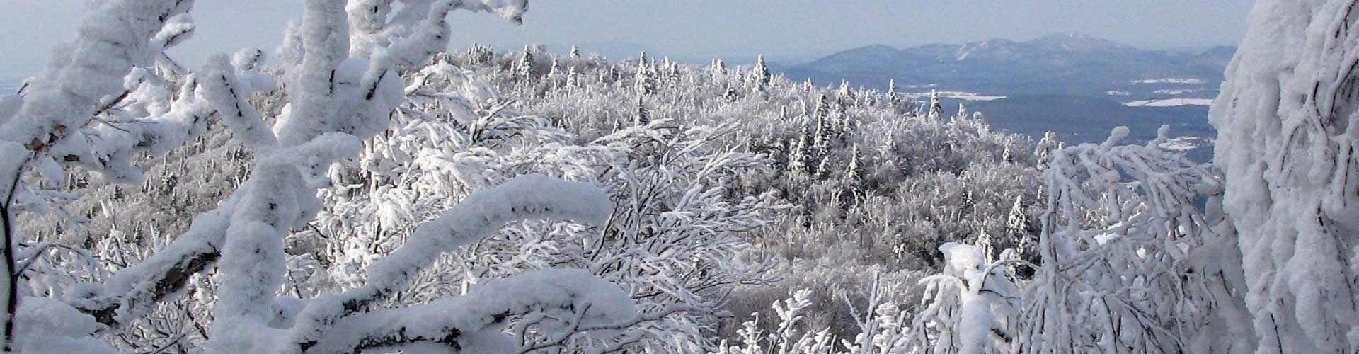 Tourisme Sutton : La randonnée d'hiver à Sutton