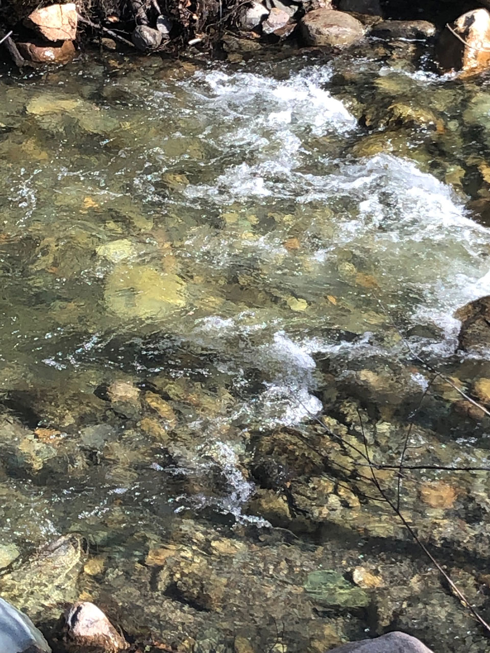 Baignade dans la rivière à l’eau limpide