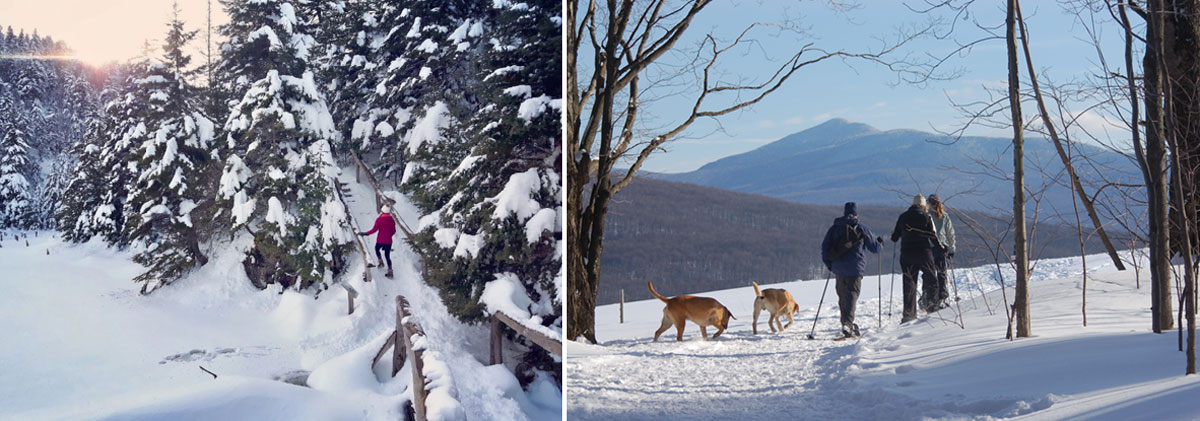 Randonnée hivernale à Sutton