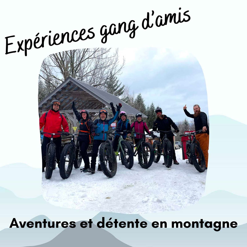 Amis-Experiences-sutton-hiver-2024-2025