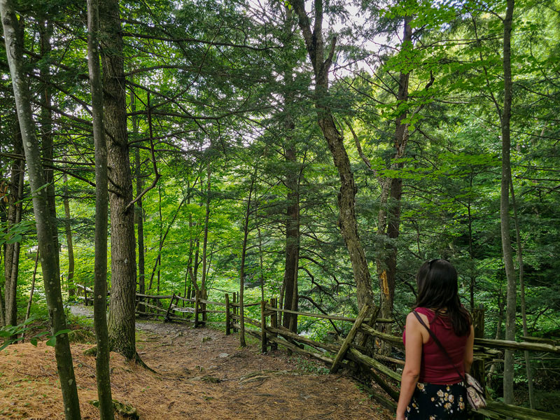 sentierVM_AtelierTouristique-800