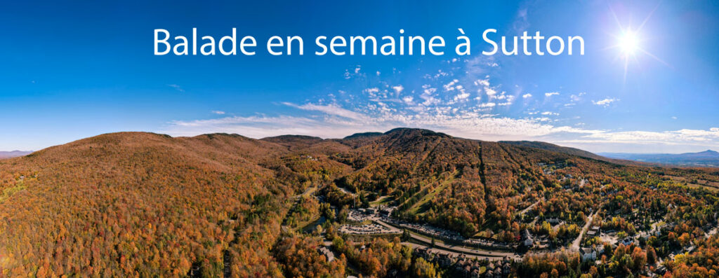 view-mount-sutton-1200-fr