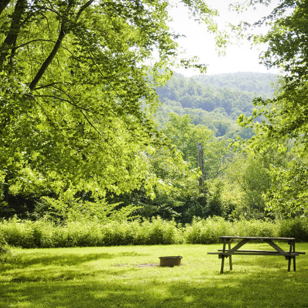 Camping Nature Plein air