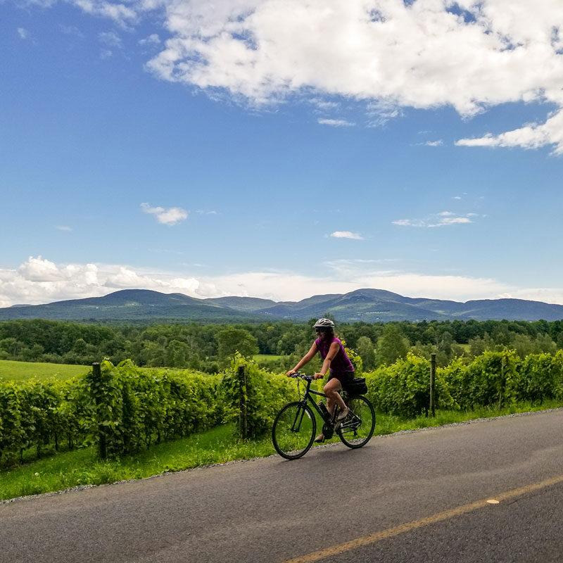 Chemin_Woodard_Jessie_Jolin-carre