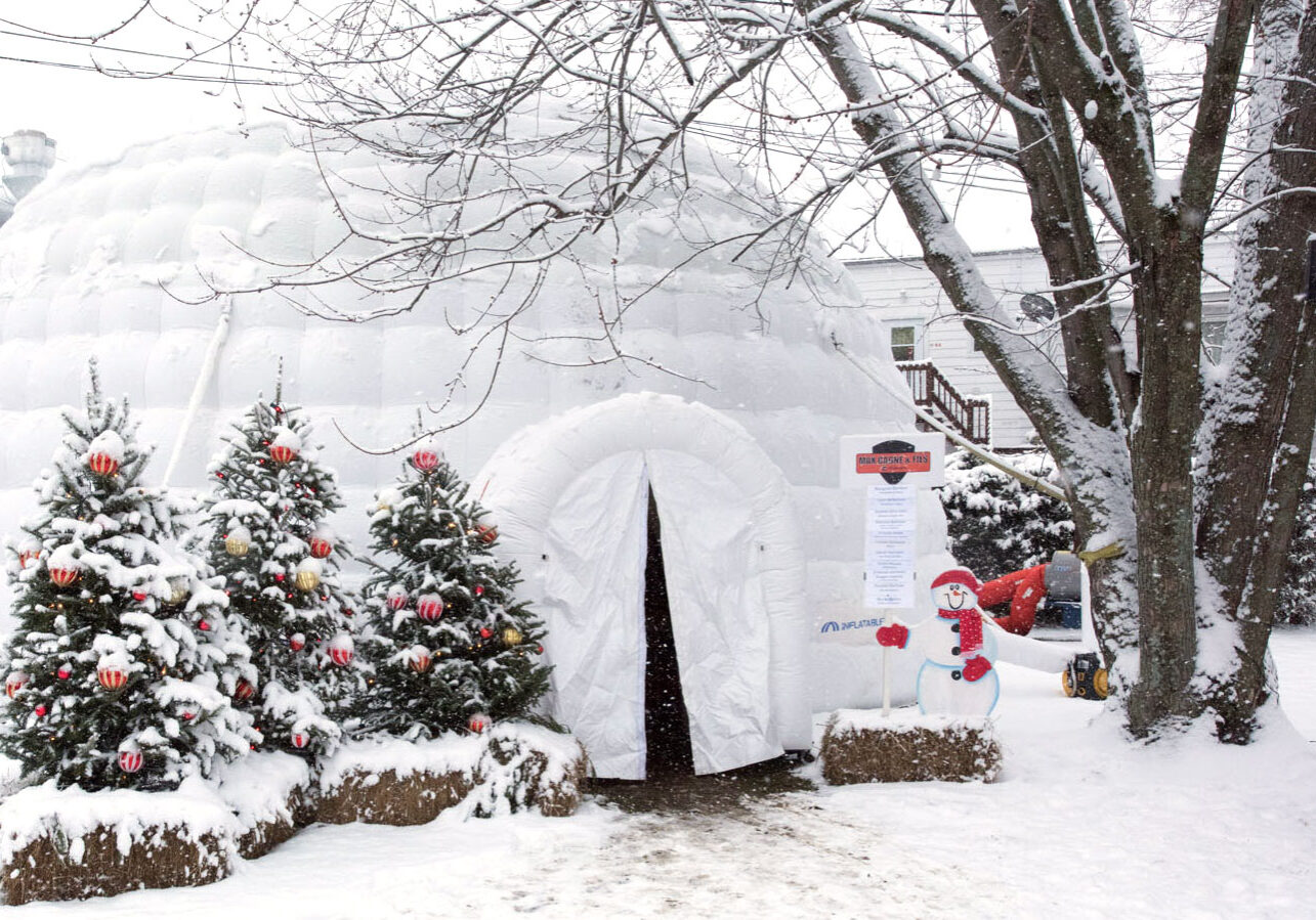 Marché de Noël