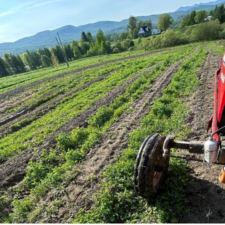 Potager-Nues-Mains-Tourisme-Sutton-2024