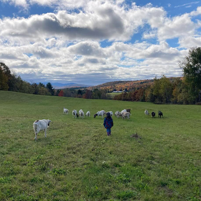 chevrerie-sutton-3-carre